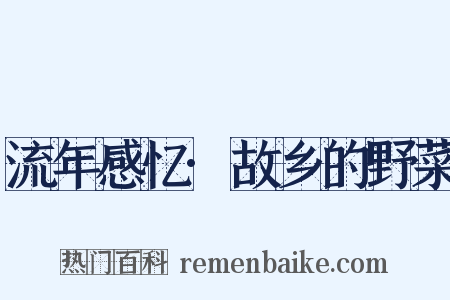 流年感忆·故乡的野菜是什么意思的图片